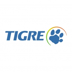 tigre